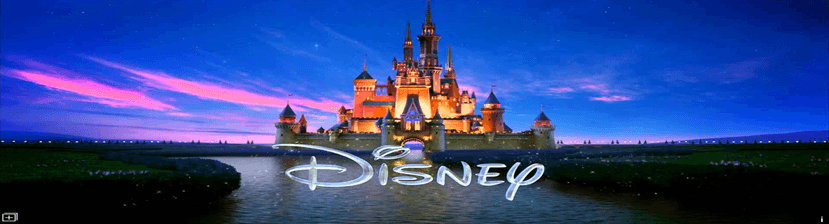 NEC Disney WAN Optimization